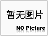 彈簧袋籠也稱除塵框架，內(nèi)星角骨架，除塵框架，又稱袋籠